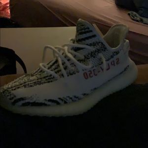 Yeezie zeebra